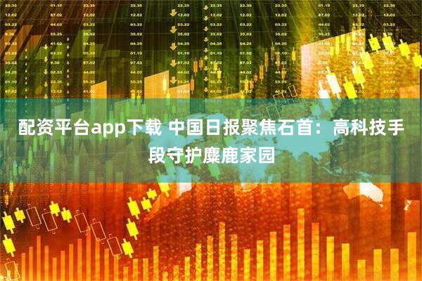 配资平台app下载 中国日报聚焦石首：高科技手段守护麋鹿家园